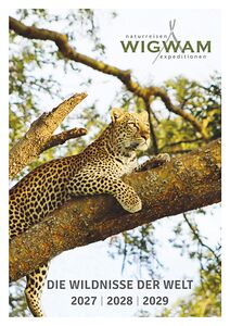 Ein Leopard auf einem Baum ist unser Titelbild für den Reisekatalog von Wigwam Tours