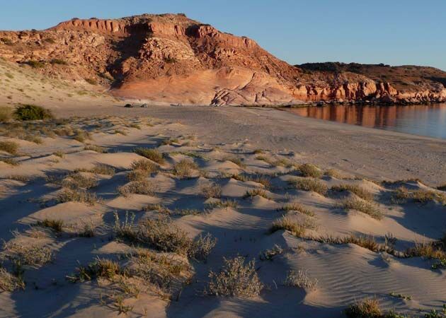 Zeltplätze in der einsamen Wildnis der Baja California