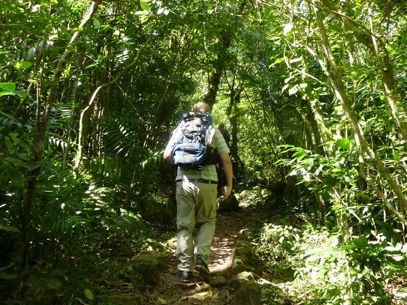 Geführte Wanderungen mit einem Naturführer durch die Nationalparks Costa Ricas