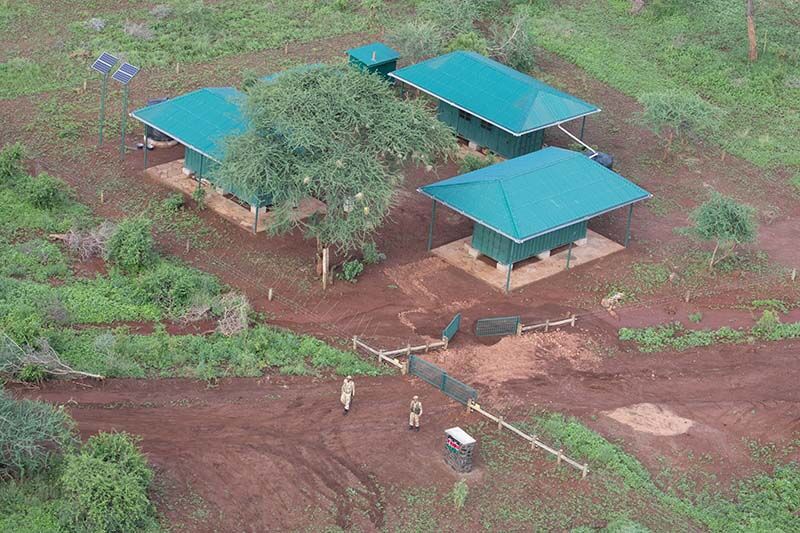 Das Aussterben der Nashörner in  Kenia wird durch Schutzorganisationen hoffentlich verhindert.