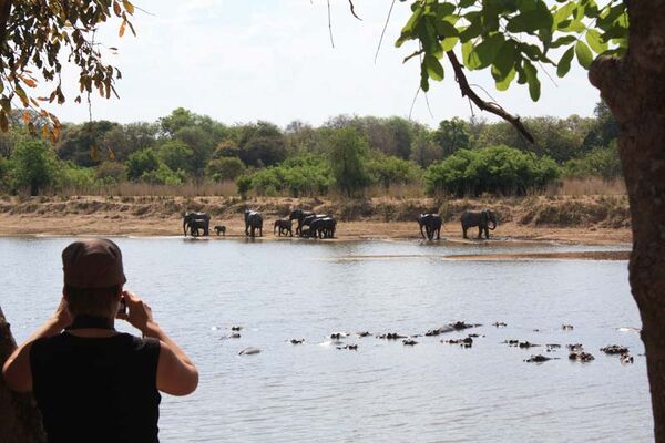 Auf Tiersafari durch den South Luangwa Nationalpark mit Pirschfahrten und Walking-Safaris