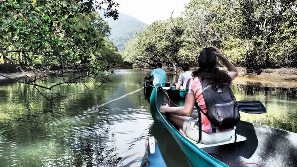 Tierbeobachtungen vom Boot aus im grünen Pantanal sind in der Trockenzeit von Juli bis Oktober ideal