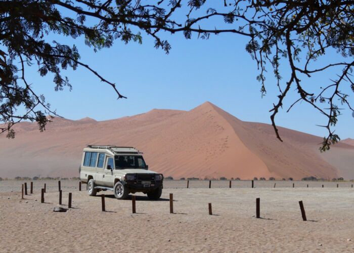 Ein Muss einer jeden Namibia Reise ist ein Ausflug zur Düne 45 in der Kalahari