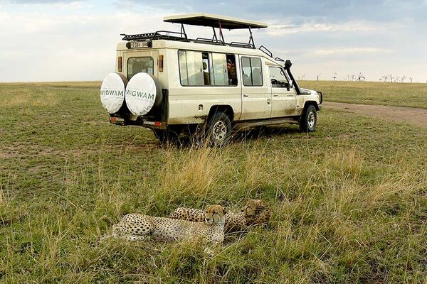 Wildtierbeobachtung in der weiten Savannenlandschaft der Serengeti