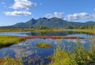 Bei einer Wanderung genießen wir den Blick auf die unzähligen Seen und Hügel im kanadischen Nationalpark.