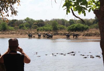 Auf Tiersafari durch den South Luangwa Nationalpark mit Pirschfahrten und Walking-Safaris