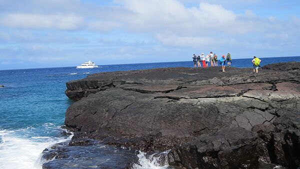 Wir sind beeindruckt wie das Lavagestein auf den Galapagos Inseln die Form der Inseln prägt.