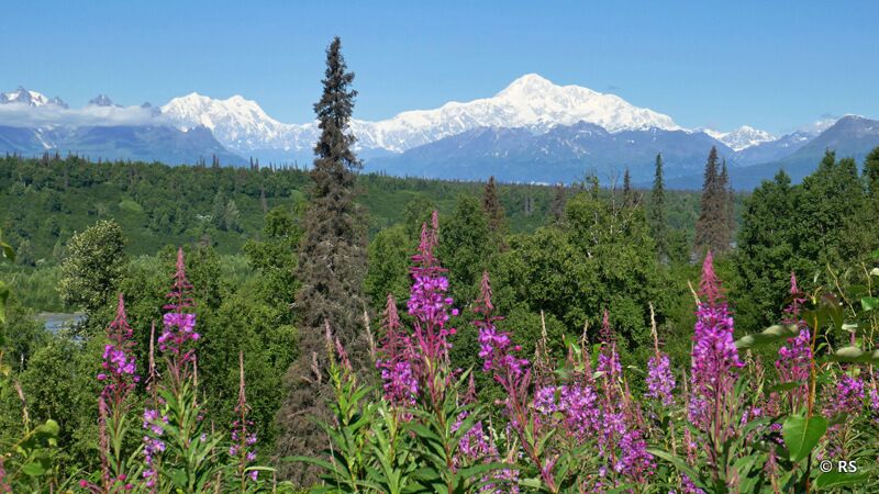 Das Wetter erlaubt uns ein wunderschönes Bild des Foaker und Hunter Berges im Denali Nationalpark.