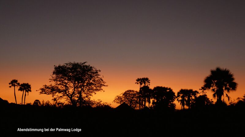 Ausklang eines tollen Reisetages mit Blick auf den Sonnenuntergang im Palmwag in Namibia