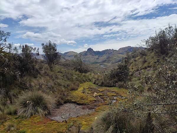 Immer wieder kann man während der Wanderung schöne Ausblicke auf die weitläufige Landschaft des Cajas Nationalparks geniessen.