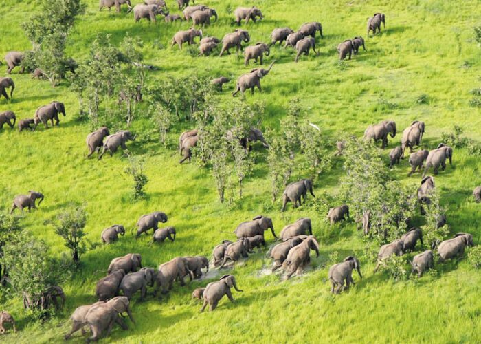 Tierbeobachtung von oben beim Rundflug über den South Luangwa NP