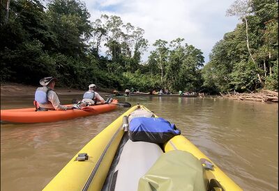 Mit Kayaks fahren wir zum Camp im Yasuni Nationalpark
