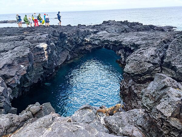 Während einer Wanderung auf der Insel Santiago von Galapagos entdecken wir viele Wasserpools und die typischen Echsen.