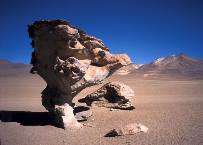 Der Arbol de Piedra aus vulkanischem Gestein liegt in der Siliowüste in Bolivien
