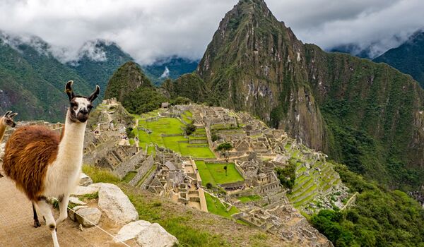 Eines der Top Highlights einer jeden Peru-Trekkingreise ist die Besichtigung von Machu Picchu