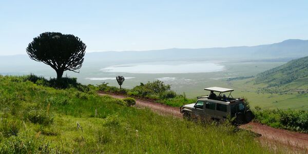 Eine Top-Sehenswürdigkeit in Tanzania ist der Ngorongoro Krater, der zum UNESCO-Weltkulturerbe zählt