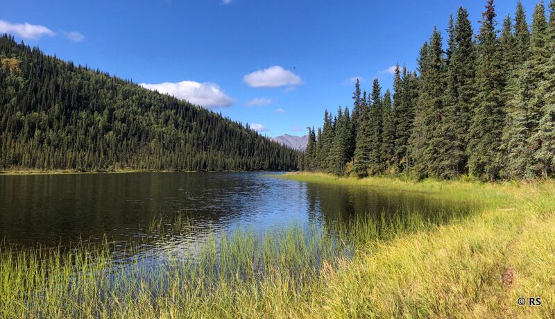 Wir nahmen sogar ein Bad im Triple Lake im Denali Nationalpark.