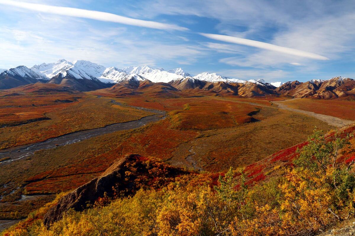 Wigwam Fotowettbewerb - Denali Nationalpark von H. Rolli