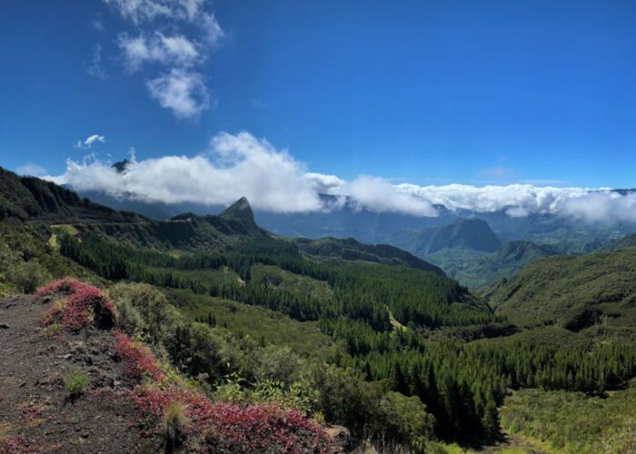Der Reiseleiter führt uns bei der Wanderreise La Reunion zu wunderschönen Naturschauplätzen