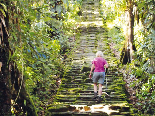 Über 1000 Stufen führen den Wanderer zur Ciudad Perdida