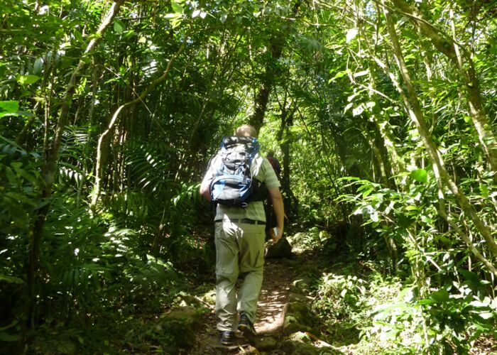 Geführte Wanderungen mit einem Naturführer durch die Nationalparks Costa Ricas