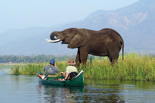 Eine besondere Möglichkeit, um Safari-Tieren nahe zu kommen ist eine Kanufahrt