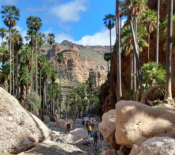 Berglandschaft auf der Baja California
