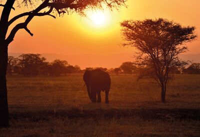 Ein gelungener Safaritag in Tanzania neigt sich dem Ende zu mit einem Sonnenuntergang