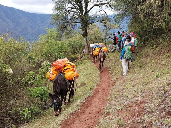 Mit der Trekkingruppe, Reiseleiter und Tragtieren unterwegs in den Anden Argentiniens