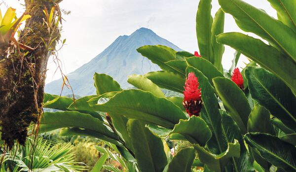 Inmitten der grünen Vegetation Costa Ricas stehen große Vulkane