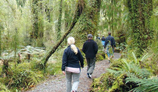 In Neuseeland gibt es eine Vielzahl an Wandermöglichkeiten