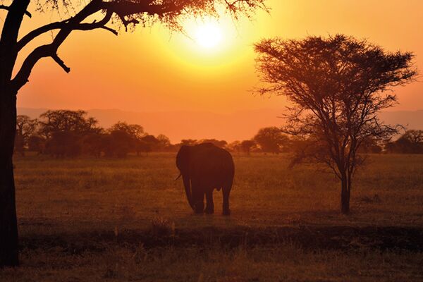 Ein gelungener Safaritag in Tanzania neigt sich dem Ende zu mit einem Sonnenuntergang