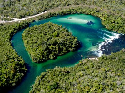 Naturexkursionen und Reisen durch Brasiliens Amazonasgebiet