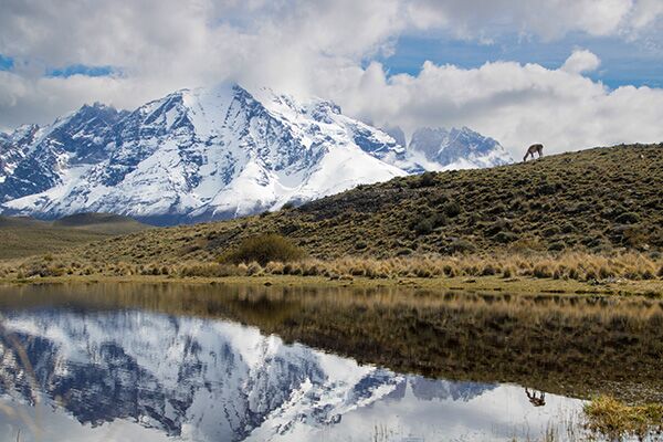 Der Besuch des Torres del Paine Nationalpark in Patagonien führt uns unter anderem zum Cerro Paine Grande.