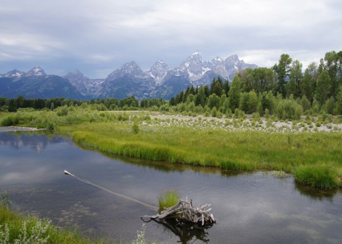 Auf Wanderung und Trekkingtour durch den Grand Teton Nationalpark