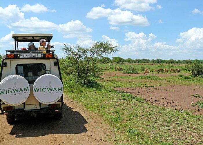 Im 4x4-Safarifahrzeug durch die Serengeti