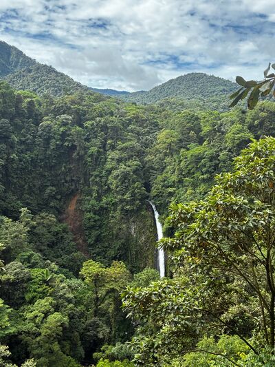Blick auf einen riesigen Wasserfall während unserer Wanderung durch den Nebelwald Monteverde in Costa Rica.