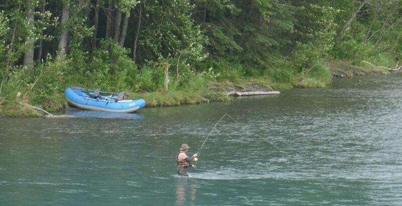 Der Kenai River ist zu bestimmten Zeiten ein Paradies für alle Angler.