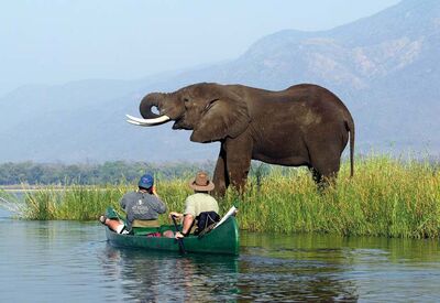 Eine besondere Möglichkeit, um Safari-Tieren nahe zu kommen ist eine Kanufahrt