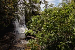Mit der Reisegruppe machen wir Rast im Urwald und baden am Wasserfall