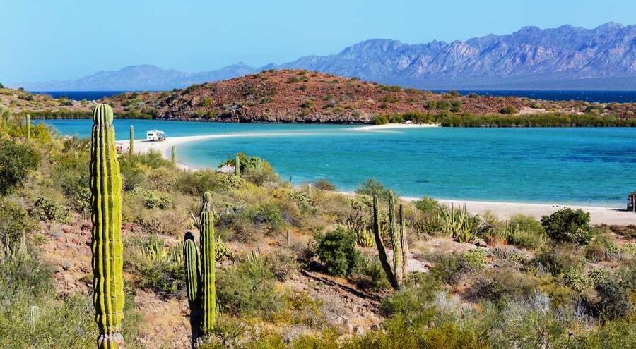 Die Baja California hat ausser Kakteen eine wunderschöne Flora und Fauna zu bieten.