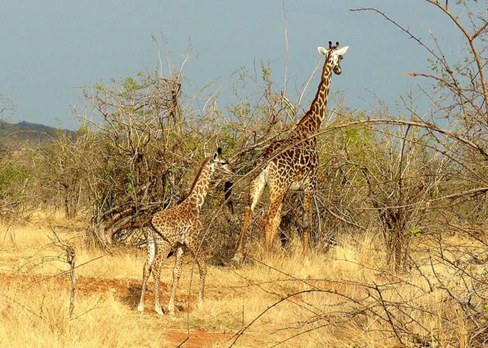 Unterwegs in einer Kleingruppe im Süden Tanzanias