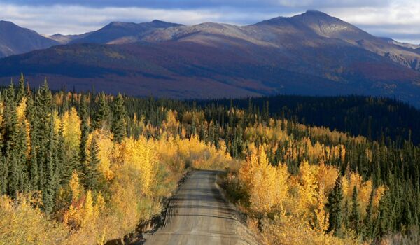 Rundreise durch die Wildnis Alaskas auf dem Alaska Highway