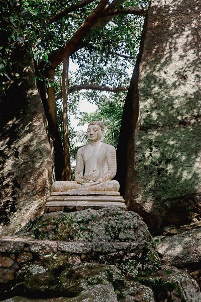 Buddha Statue - Sri Lanka ist ein Land der Tempel, Klöster, Moscheen und Statuen.