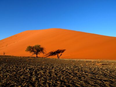 Auf einer abendlichen Safari durch Namibias Wüsten
