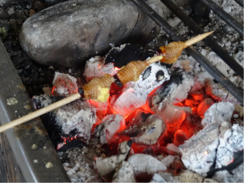 Lebendig werden die Chota Kuru "Würmer" über dem Feuer gegrillt.