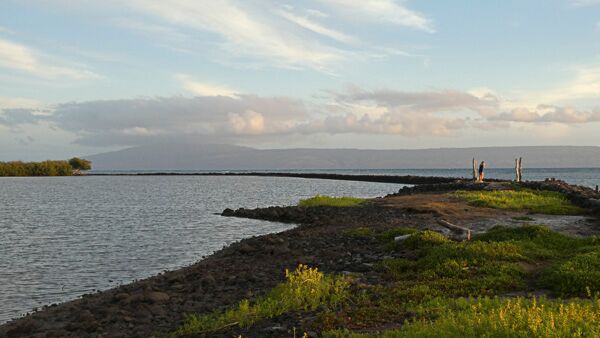 Für Naturliebhaber ist die Insel Molokai auf Hawaii ein echter Geheimtipp.