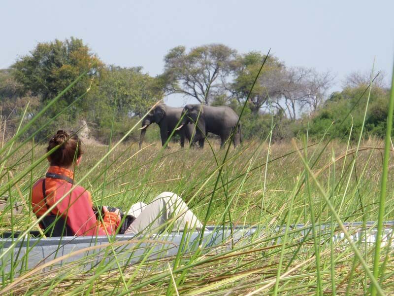 Im Okavango Delta kommen wir den Big Five Riesen vor allem mit dem Boot ganz nah