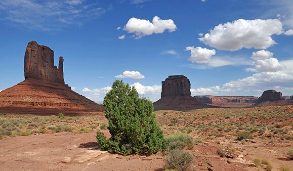 Die drei famosen Felsen West Mitten Butte, East Mitten Butte und Merrick Butte im Monument Valley im Bundesstaat Utah in den USA.