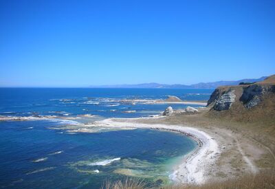 Eine der schönsten Küsten in Neuseeland ist in Kaikoura
